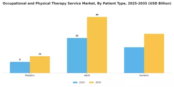 Occupational and Physical Therapy Service Market Segment Image 1