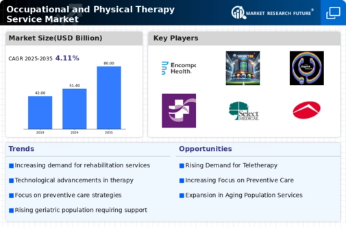 Occupational and Physical Therapy Service Market Infographic