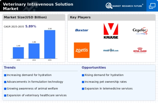 Veterinary Intravenous Solution Market Infographic