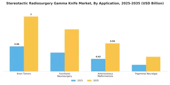 Stereotactic Radiosurgery Gamma Knife Market Segment Image 0