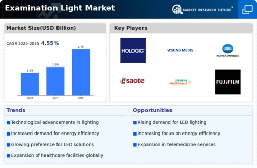 Examination Light Market Infographic