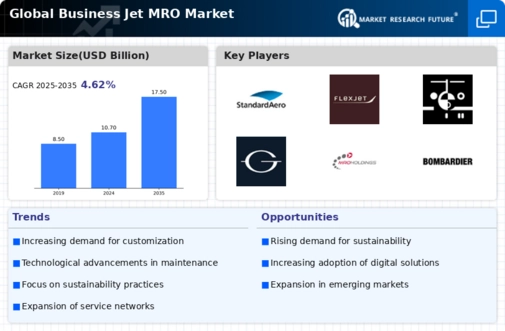 Business Jet MRO Market Infographic