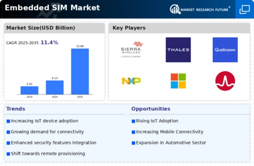 Embedded Sim Market Infographic