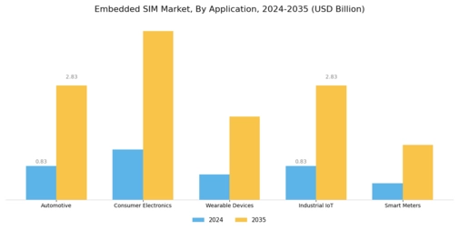 Embedded Sim Market Segment Image 0