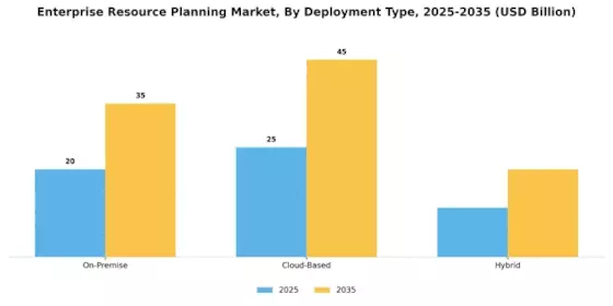 Enterprise Resource Planning Market Segment Image 0