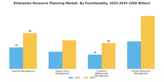 Enterprise Resource Planning Market Segment Image 1