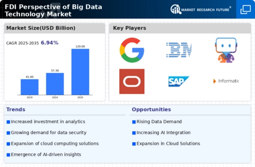 Fdi Perspective Of Big Data Technology Market Infographic