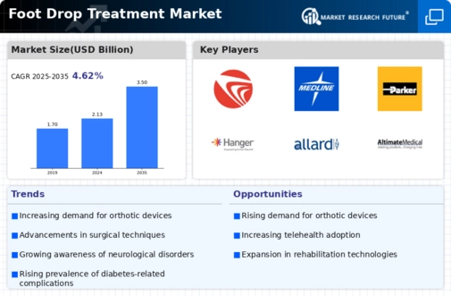 Foot Drop Treatment Market Infographic