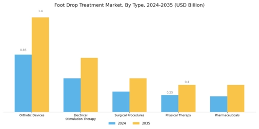 Foot Drop Treatment Market Segment Image 0