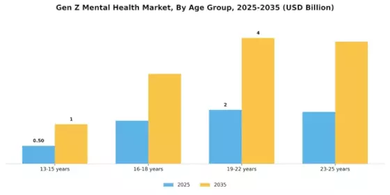Gen Z Mental Health Market Segment Image 0