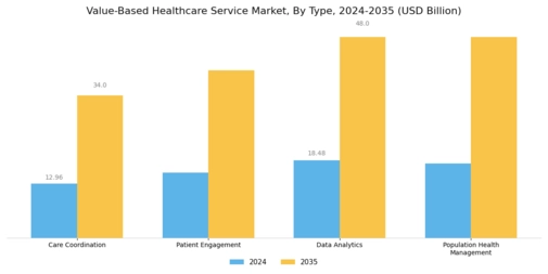 Value Based Healthcare Service Market Segment Image 0