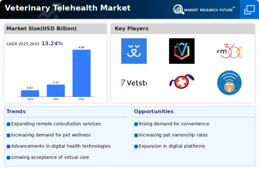Veterinary Telehealth Market Infographic