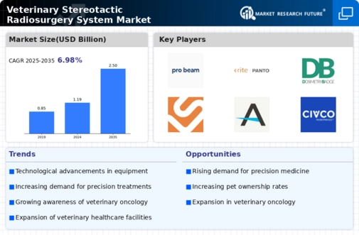 Veterinary Stereotactic Radiosurgery System Market Infographic