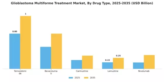 Glioblastoma Multiforme Treatment Market Segment Image 0