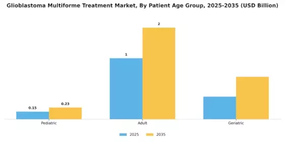 Glioblastoma Multiforme Treatment Market Segment Image 1
