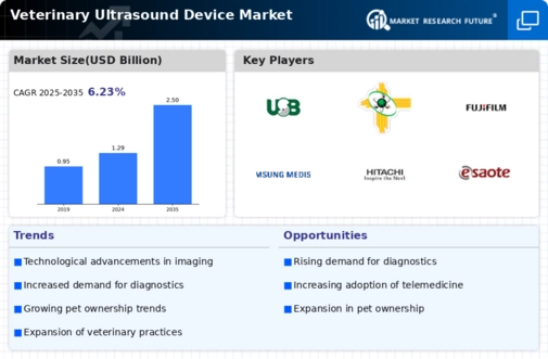 Veterinary Ultrasound Device Market Infographic