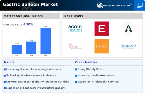 Gastric Balloon Market Infographic