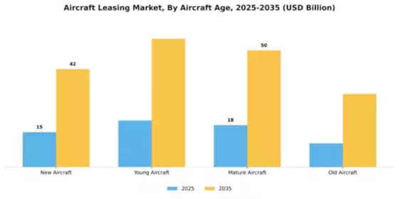 Aircraft Leasing Market Segment Image 0