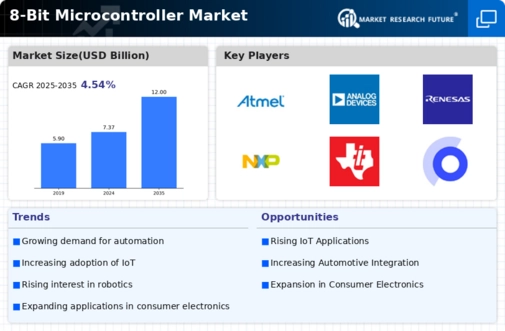 8 Bit Microcontroller Market Infographic