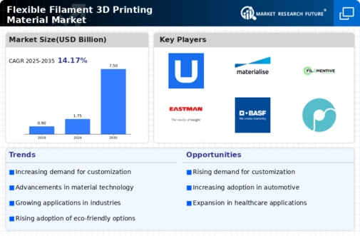 Flexible Filament 3D Printing Material Market Infographic