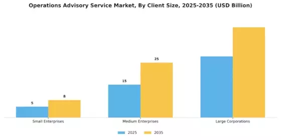 Operations Advisory Service Market Segment Image 0