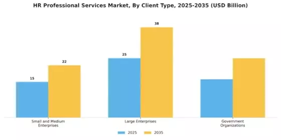 HR Professional Services Market Segment Image 0