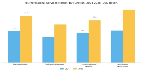 HR Professional Services Market Segment Image 2