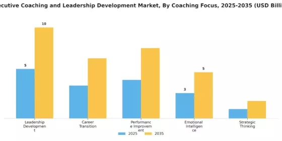 Executive Coaching Leadership Development Market Segment Image 1