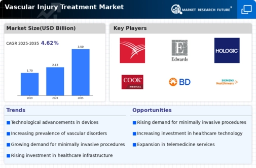 Vascular Injury Treatment Market Infographic