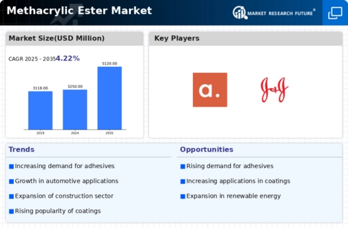 Methacrylic Ester Market Infographic