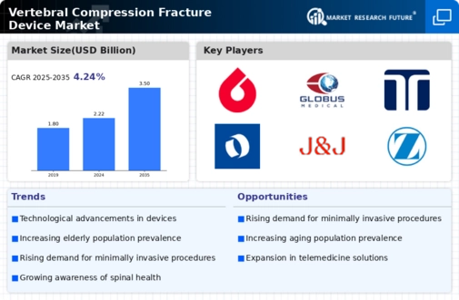 Vertebral Compression Fracture Device Market Infographic