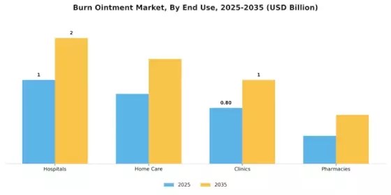 Burn Ointment Market Segment Image 1