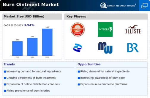 Burn Ointment Market Infographic