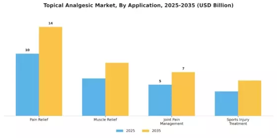 Topical Analgesic Market Segment Image 1