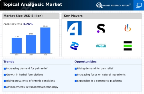 Topical Analgesic Market Infographic