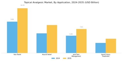 Topical Analgesic Market Segment Image 2