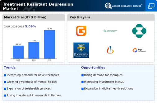 Treatment Resistant Depression Market Infographic