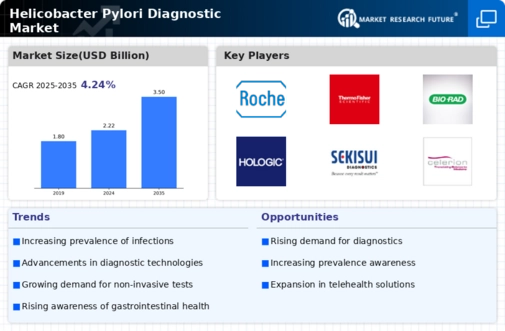 Helicobacter Pylori Diagnostic Market Infographic