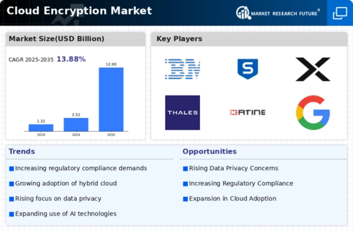Cloud Encryption Market Infographic
