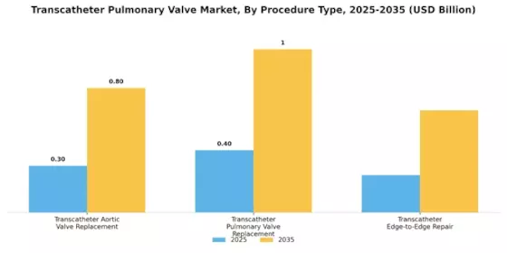 Transcatheter Pulmonary Valve Market Segment Image 3