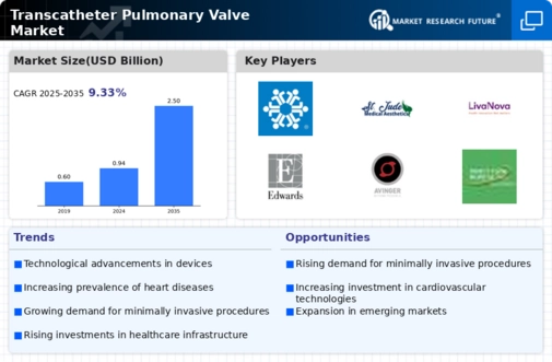 Transcatheter Pulmonary Valve Market Infographic