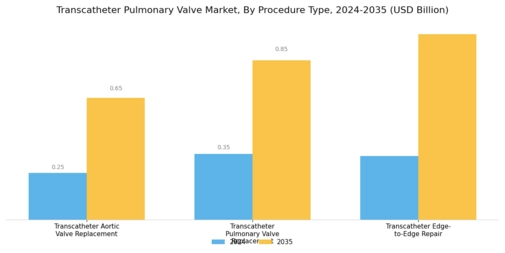 Transcatheter Pulmonary Valve Market Segment Image 3