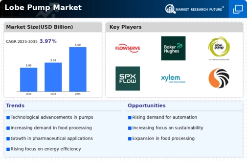 Lobe Pump Market Infographic