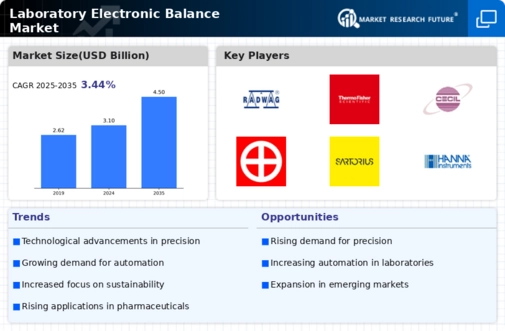 Laboratory Electronic Balance Market Infographic