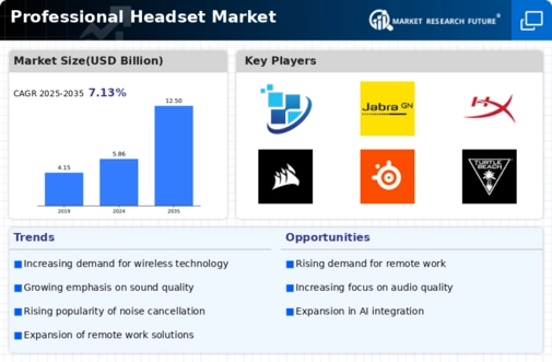 Professional Headset Market Infographic