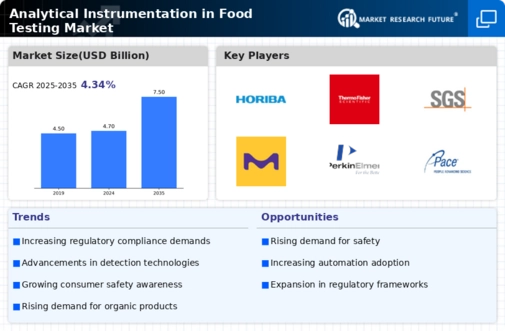 Analytical Instrumentation In Food Testing Market Infographic