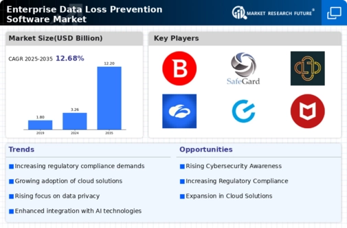 Enterprise Data Loss Prevention Software Market Infographic