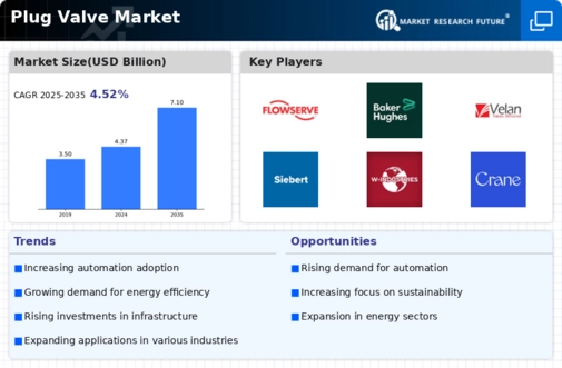 Plug Valve Market Infographic