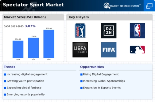 Spectator Sport Market Infographic