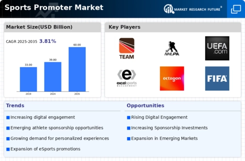 Sports Promoter Market Infographic